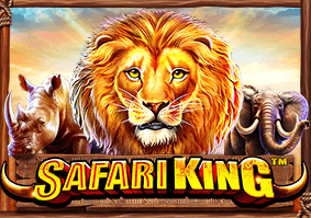 Safari King game cover