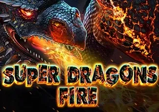 Super Dragons Fire game cover